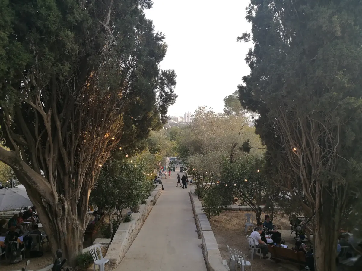 מרכז רפואי · מונית לאיכילוב — בכל שעה