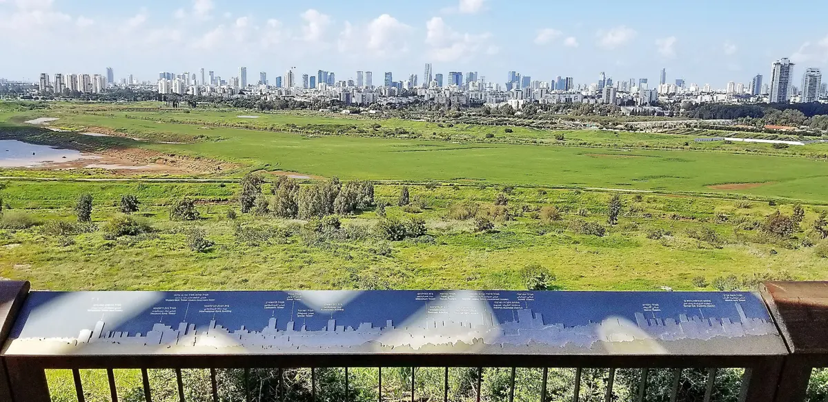 אריאל — נוף העיר