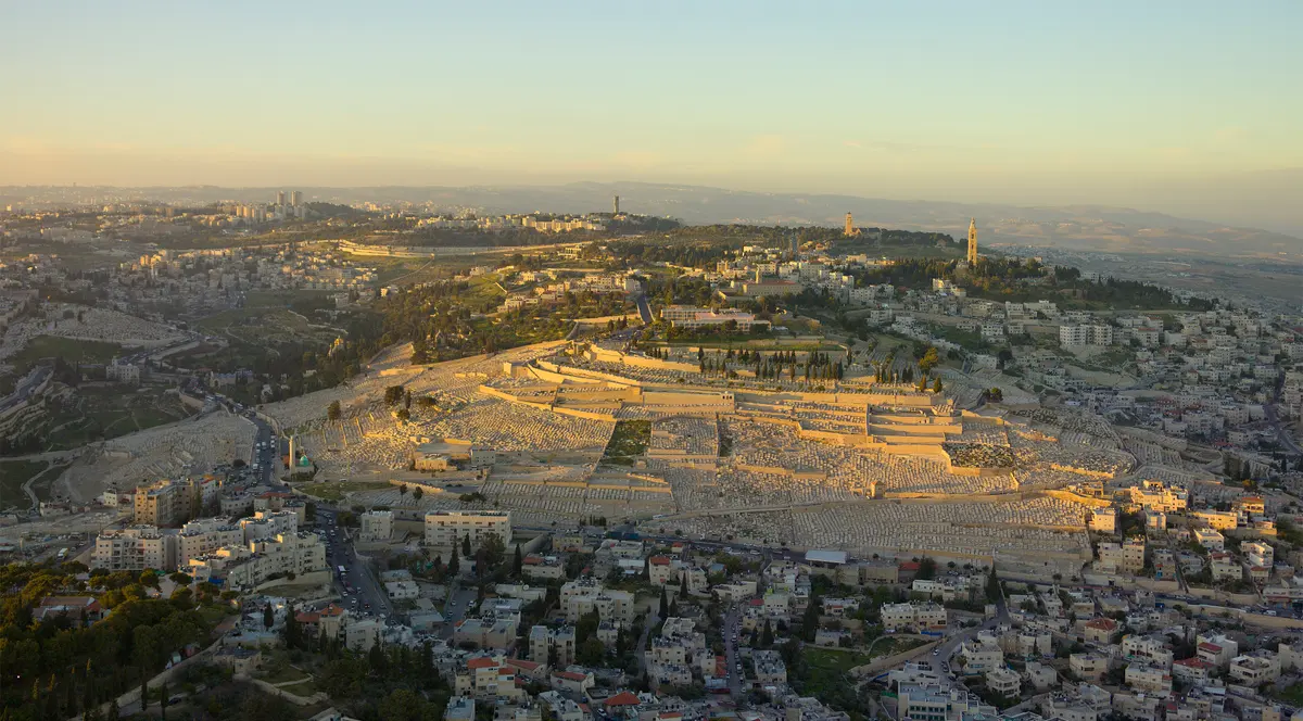 קריית מלאכי — נוף העיר
