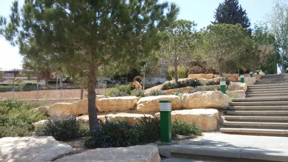 מצפה רמון — נוף העיר