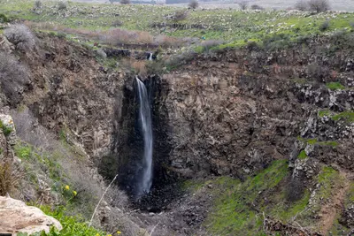 שמורת גמלא